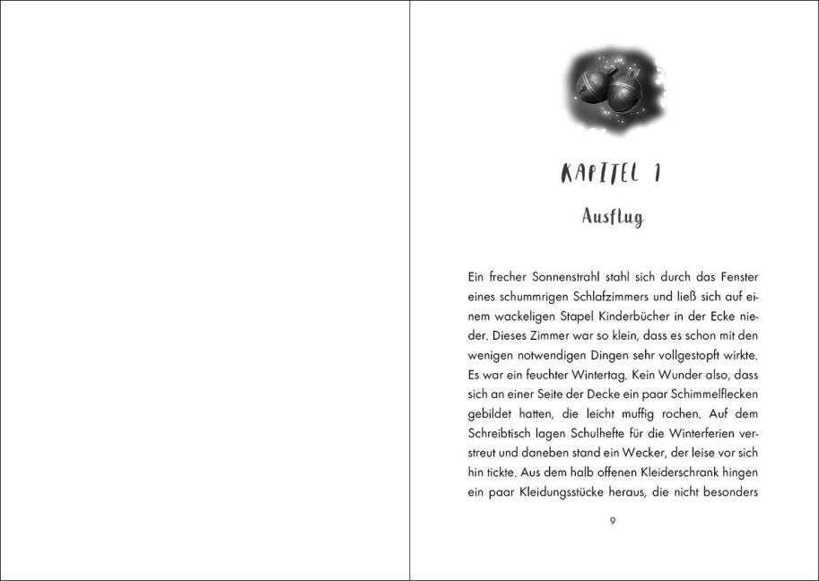 additionalImage2