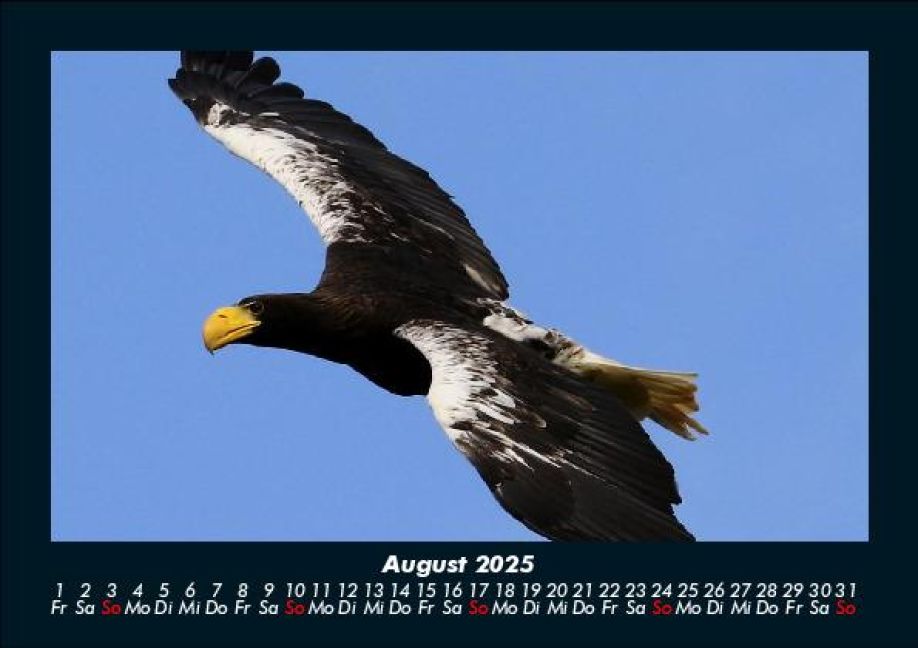 additionalImage12