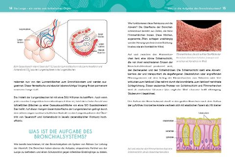 additionalImage1