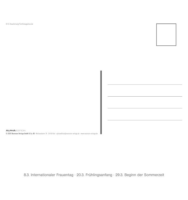 additionalImage6