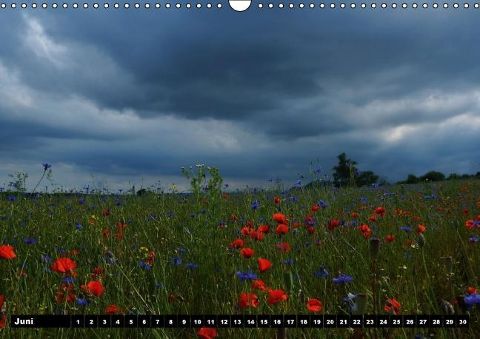 additionalImage6