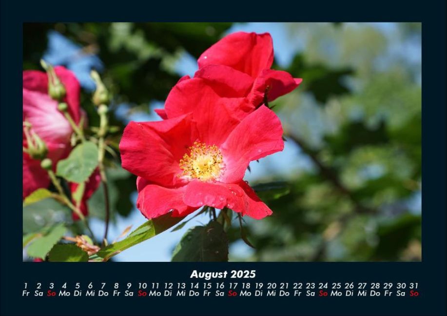 additionalImage12