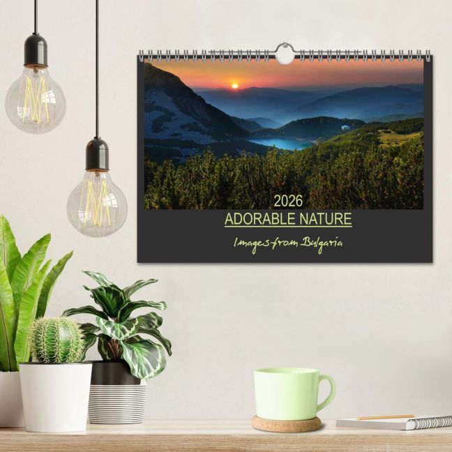 additionalImage1