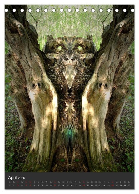 additionalImage9