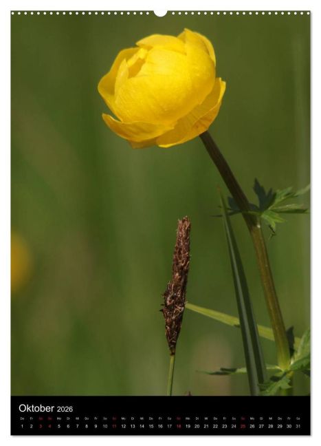 additionalImage1