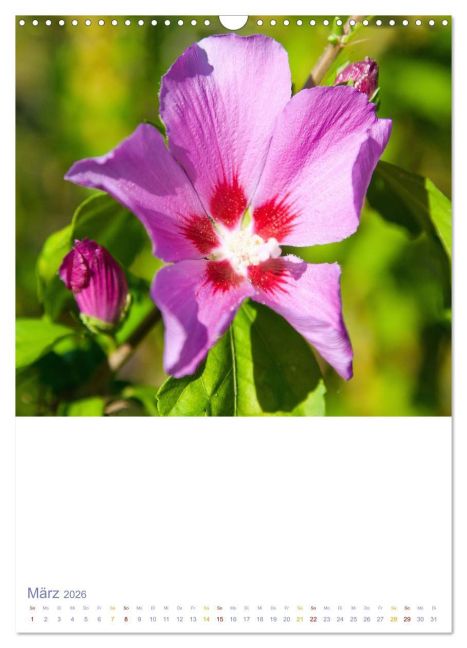 additionalImage8