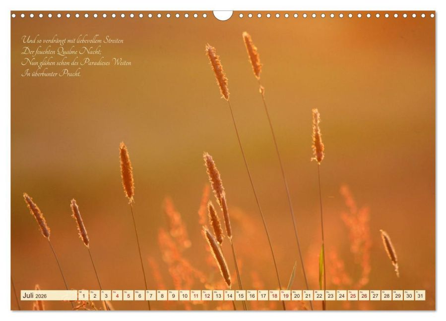 additionalImage12