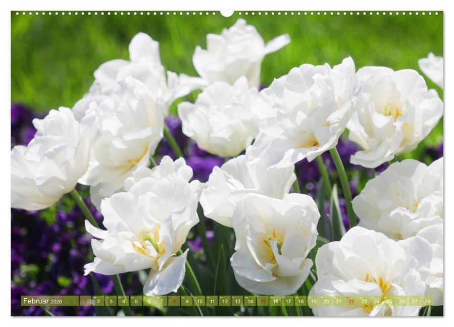 additionalImage7