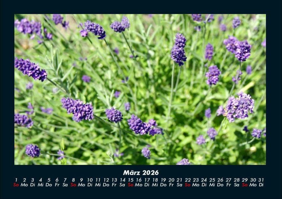 additionalImage7