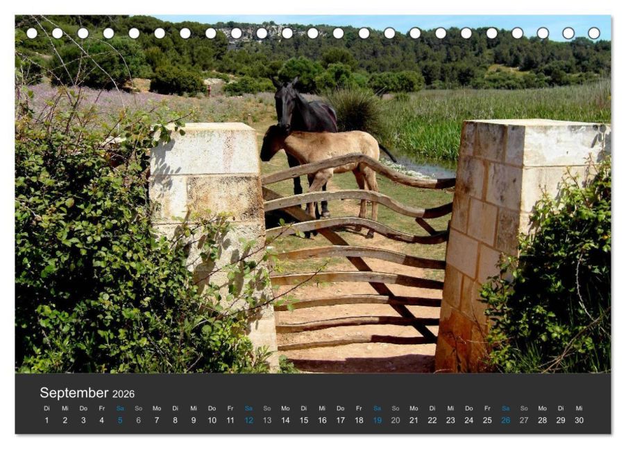 additionalImage14