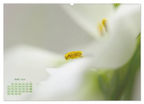 additionalImage12