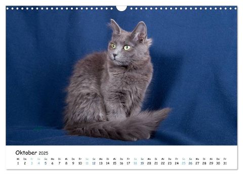 additionalImage2