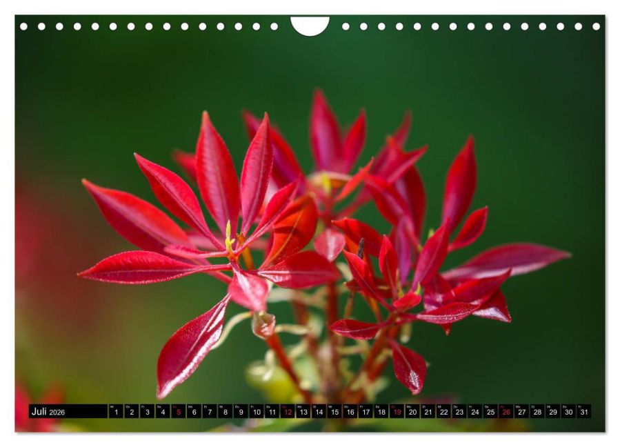additionalImage12