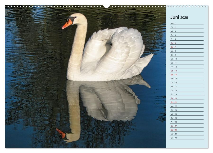 additionalImage11