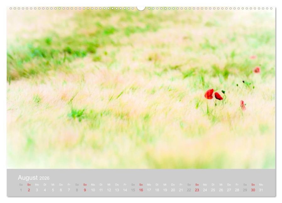additionalImage12