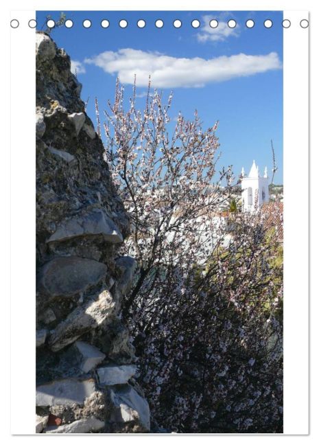 additionalImage12