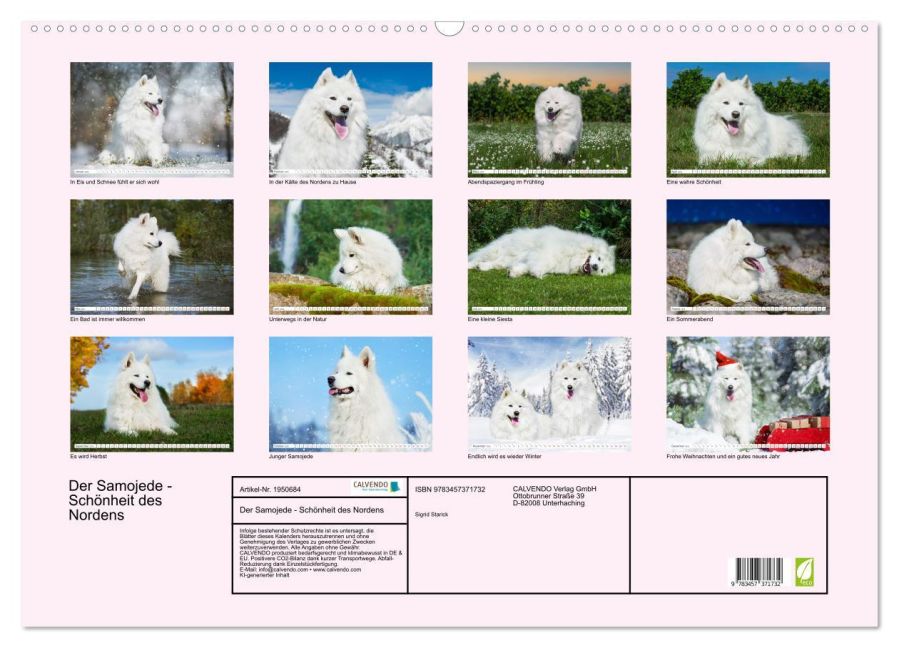 additionalImage5