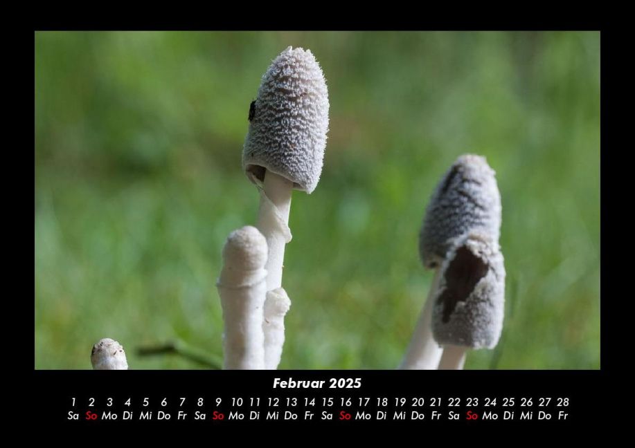 additionalImage6