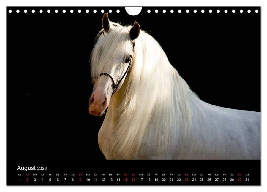 additionalImage13