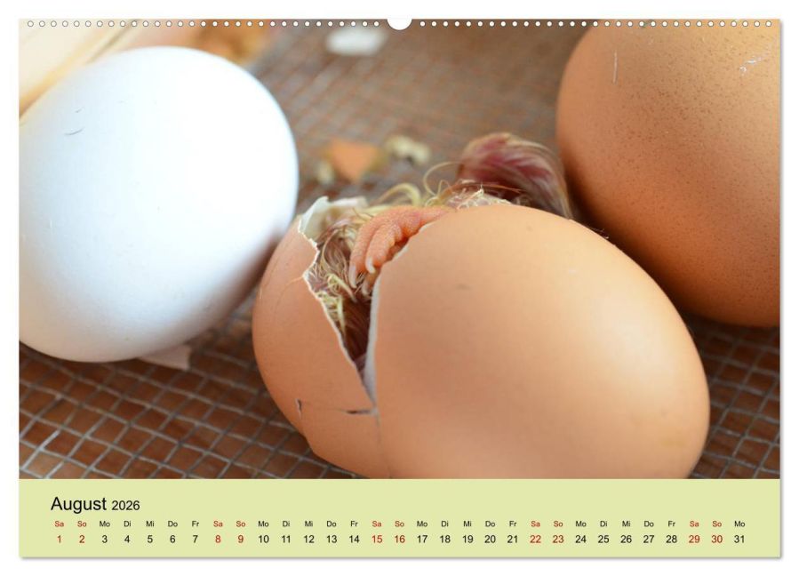 additionalImage12