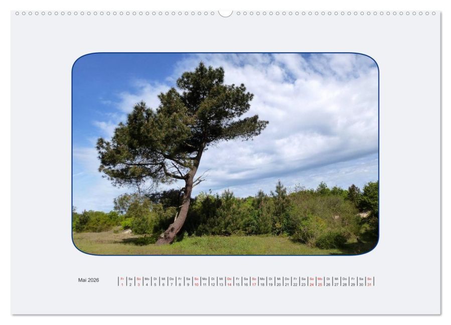 additionalImage9