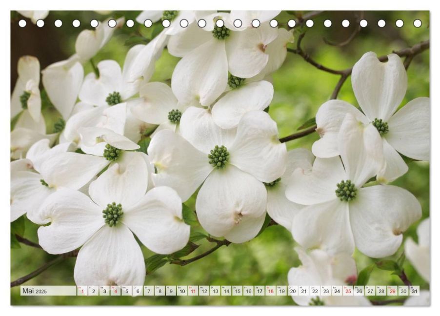 additionalImage10