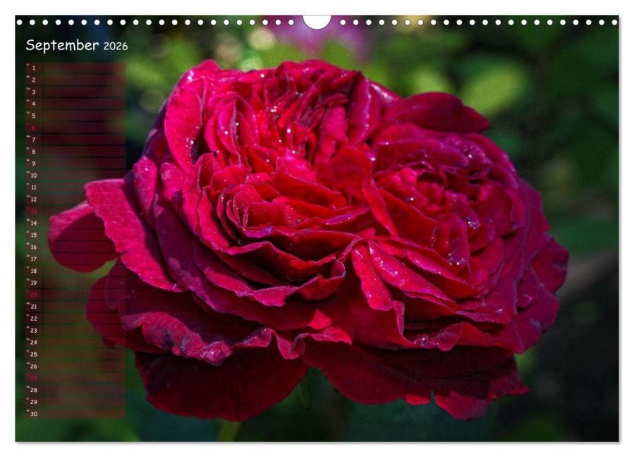 additionalImage14