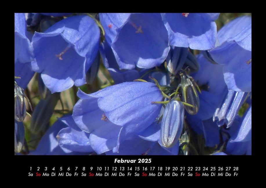 additionalImage6