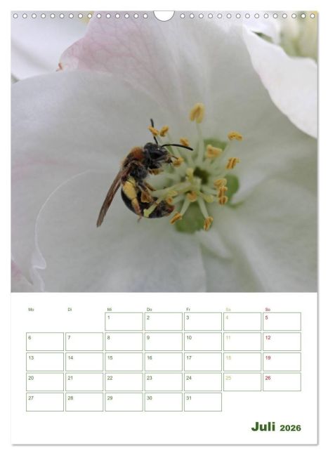 additionalImage12