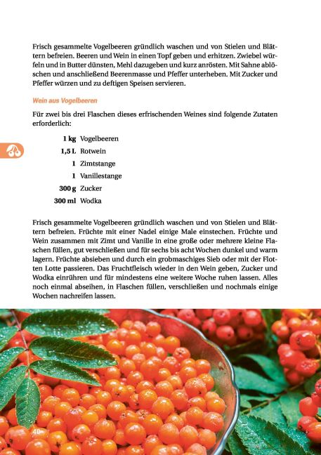 additionalImage13
