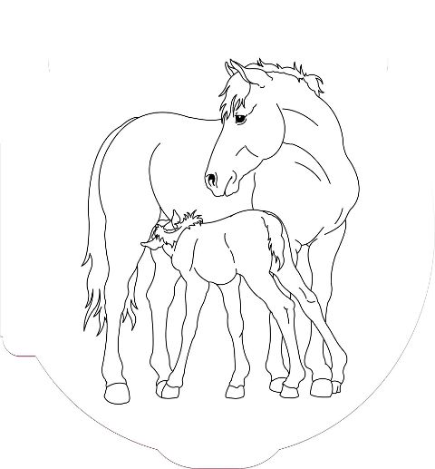additionalImage2