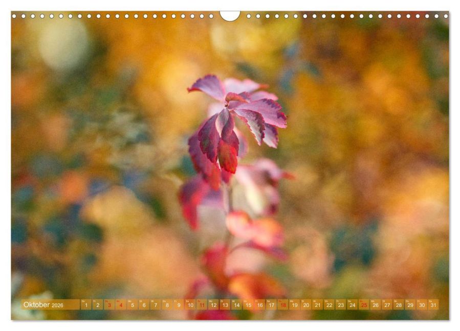 additionalImage2