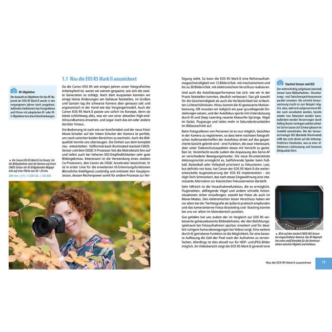 additionalImage1