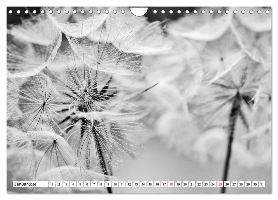 additionalImage6