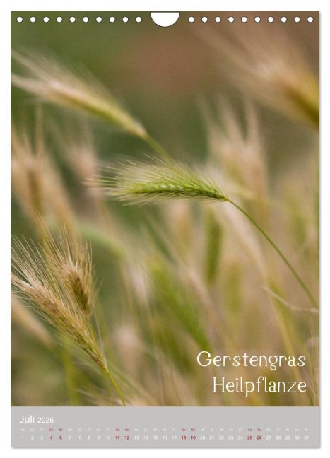 additionalImage12