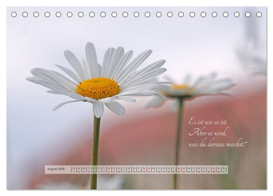 additionalImage13
