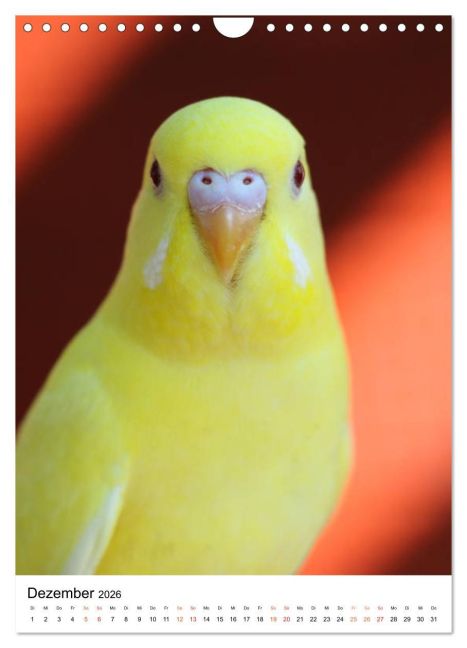 additionalImage4