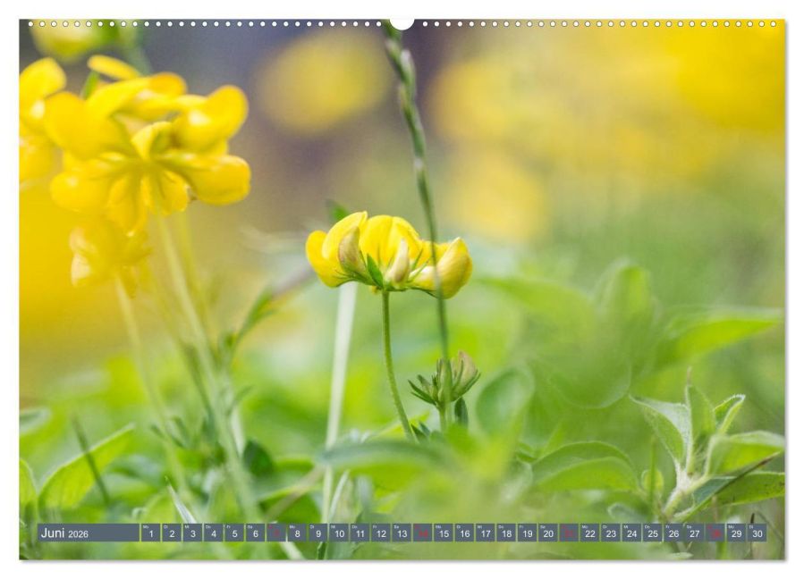 additionalImage11