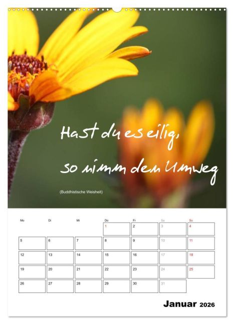 additionalImage6