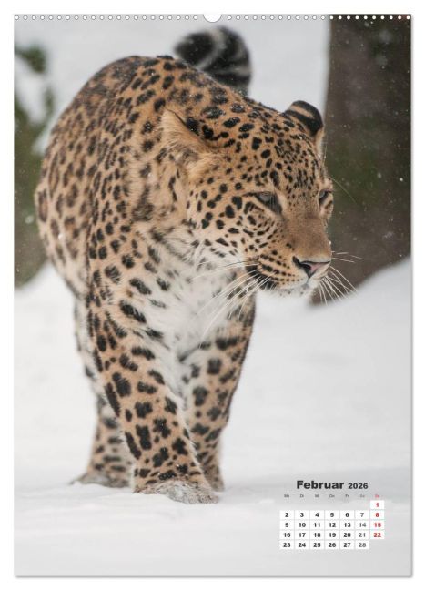 additionalImage6