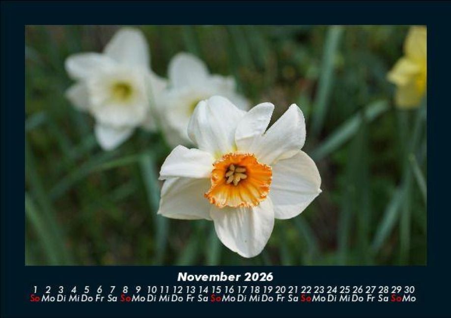 additionalImage3