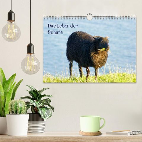 additionalImage1