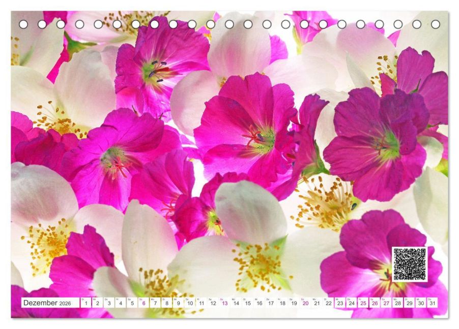 additionalImage4