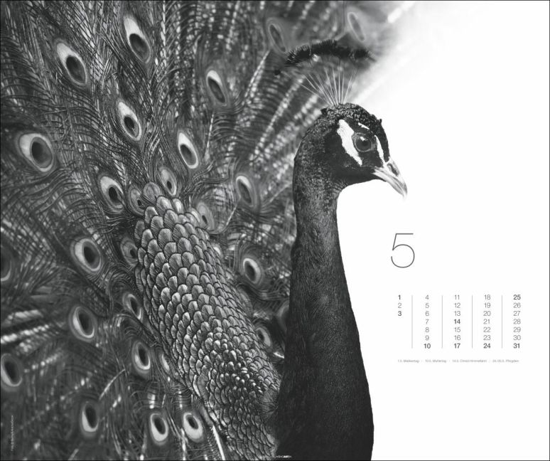 additionalImage5