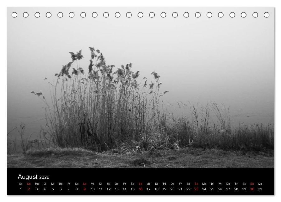 additionalImage13