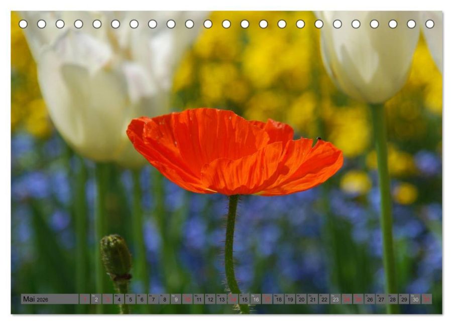 additionalImage10