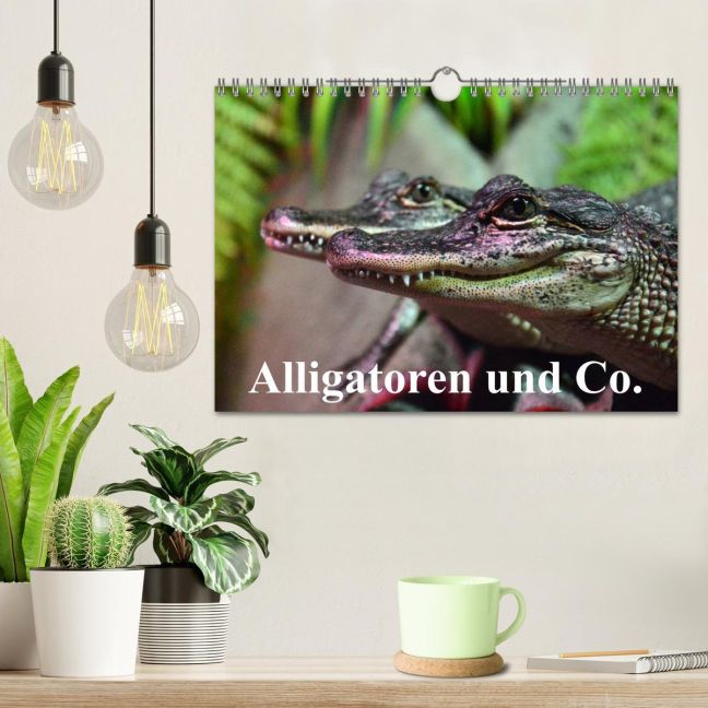 additionalImage1