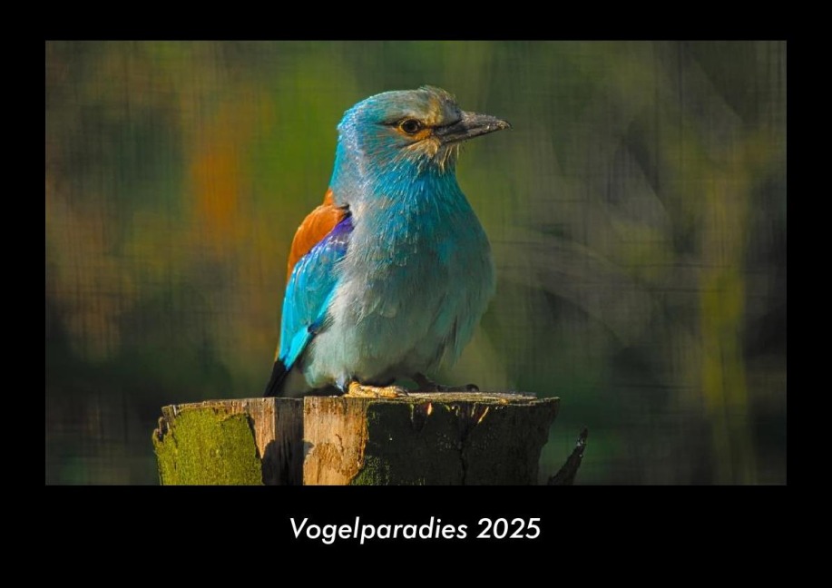 Vogelparadies 2025 Fotokalender DIN A3 - Tobias Becker