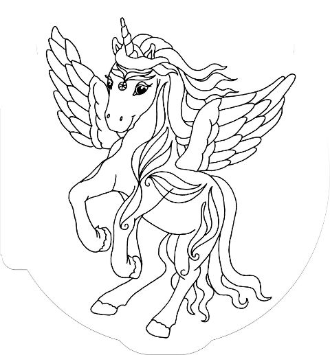additionalImage6