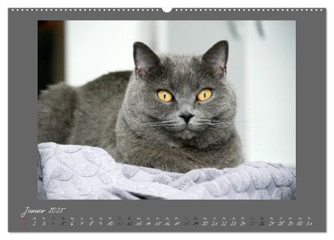 additionalImage5